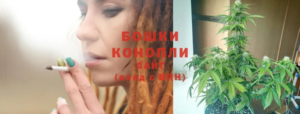 тгк Богданович