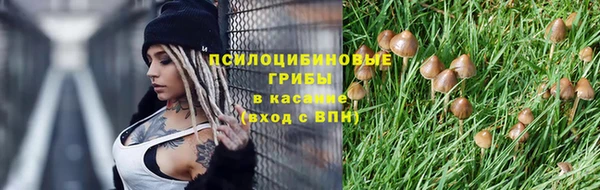 соль ск Богородицк