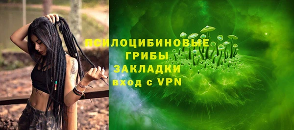соль ск Богородицк